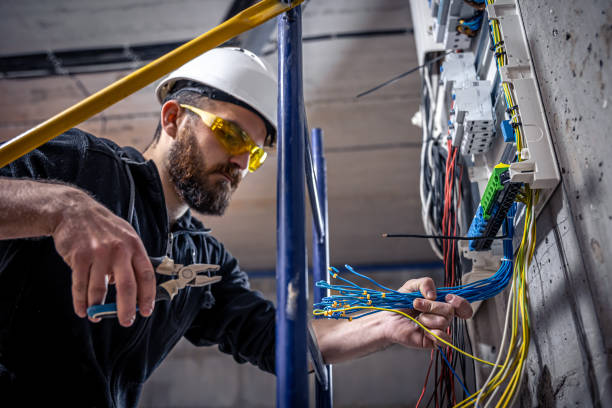 Best Electric Panel Repair  in Princeton, MN