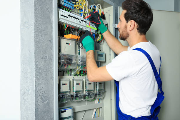 Best Local Electrician Companies  in Princeton, MN
