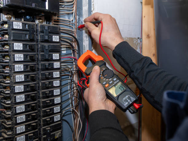 Best Electrical System Inspection  in Princeton, MN